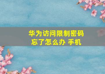 华为访问限制密码忘了怎么办 手机